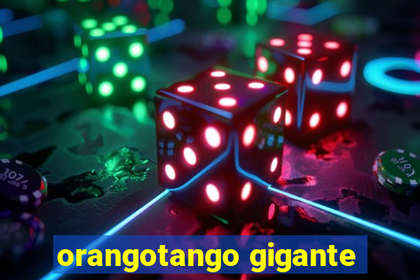 orangotango gigante